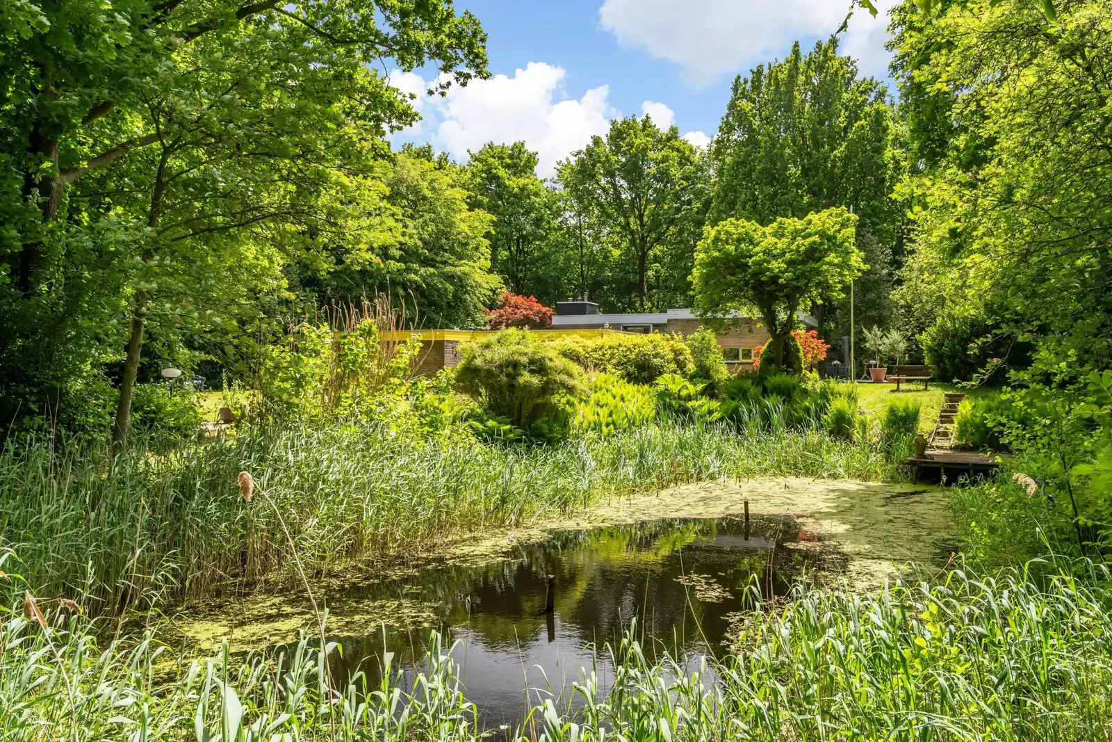 Folgeralaan 13, Drachten – vijver