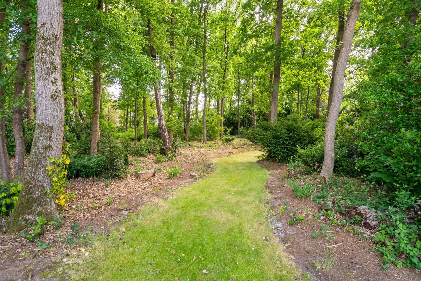 Woonhuis Bosschaert, Laren – pad door het bos